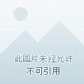 雍正皇后生存录 最新章节更新时间